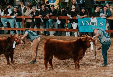 Javier Milei en La Rural: prometió la eliminación del Impuesto PAIS y las retenciones