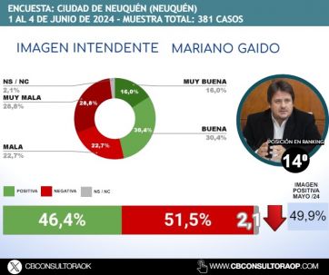 Cómo se posicionan los patagónicos en un nuevo ranking de intendentes