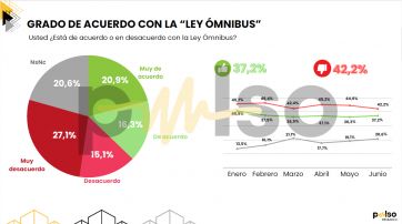 Ley Bases: cómo ve la gente su aprobación en el Senado