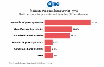 Caída libre para el sector pyme, crisis en la industria y el repunte no se visibiliza