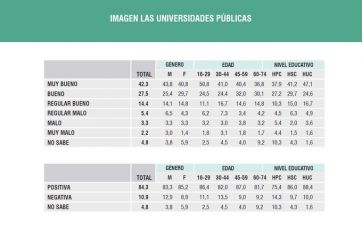 Marcha Federal Universitaria: el 85% de la gente está a favor de las universidades públicas