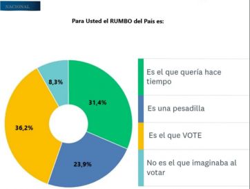 Con la oposición fragmentada, La Libertad Avanza se corta sola de cara al 2025