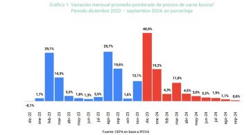 La carne bovina aumentó un 120% en los primeros diez meses de la gestión Milei