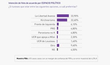 Nuevas preocupaciones, apoyo a Milei y empate técnico en Buenos Aires de cara al 2025