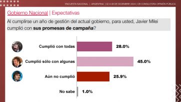 El primer año de Milei: qué dice la encuesta que hizo un balance de la gestión libertaria