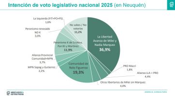 Intención de voto y mejor imagen: cuál es el escenario en la provincia