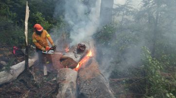 Arde la Patagonia:  el mapa de los incendios