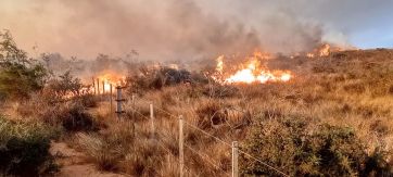 Arde la Patagonia:  el mapa de los incendios