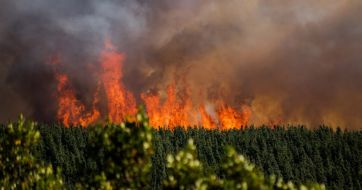 Arde la Patagonia:  el mapa de los incendios