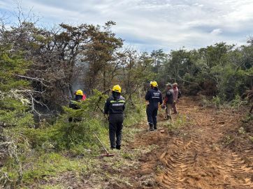 Arde la Patagonia:  el mapa de los incendios