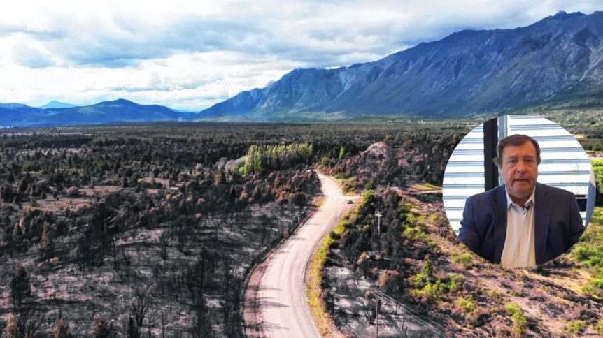 Ordenamiento de bosques nativos: la Justicia obliga a Weretilneck a actualizar la norma