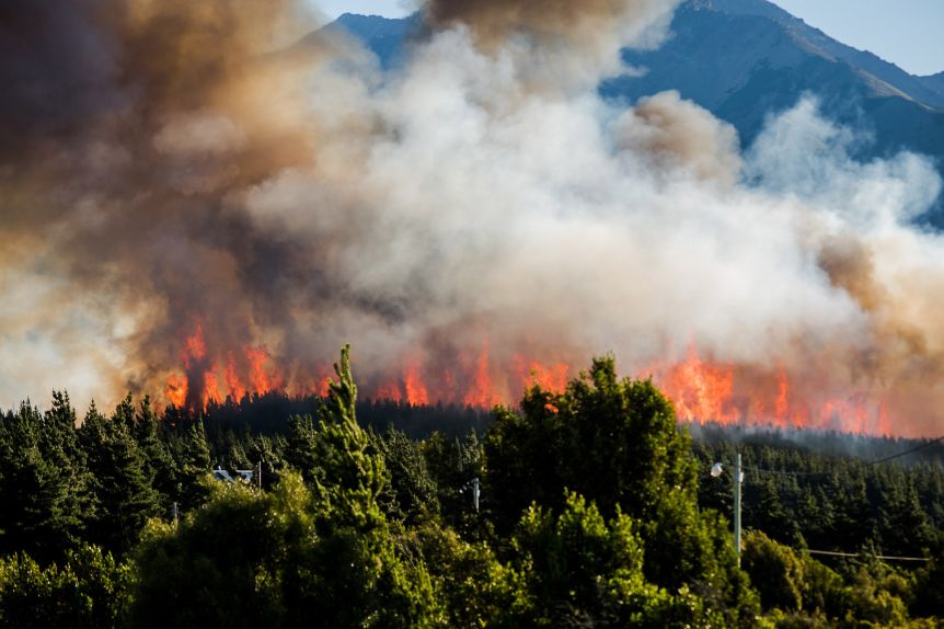 Récord de incendios: se quemaron más de 31.000 hectáreas en la última temporada