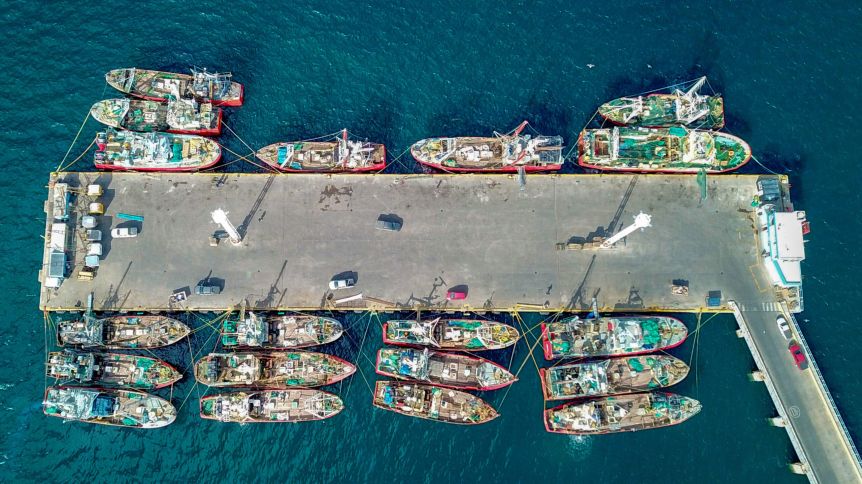 Alerta máxima en el sector pesquero ante la crisis por la temporada de langostino