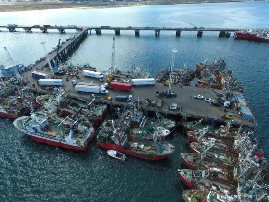 Puertos patagónicos en parate por el histórico no inicio de temporada langostino