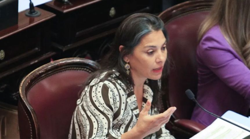 Crexell propuso donar al Garrahan los aumentos salariales de los senadores