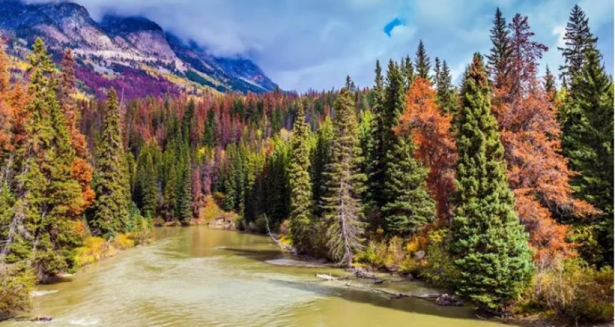 La Justicia ordenó a la provincia cumplir con el Ordenamiento Territorial de Bosques Nativos