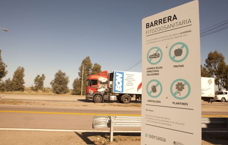 Tras más de 20 años, Nación flexibilizó la barrera sanitaria en la Patagonia