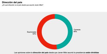 La polarización avanza: la sociedad está partida entre el apoyo y el rechazo a Milei