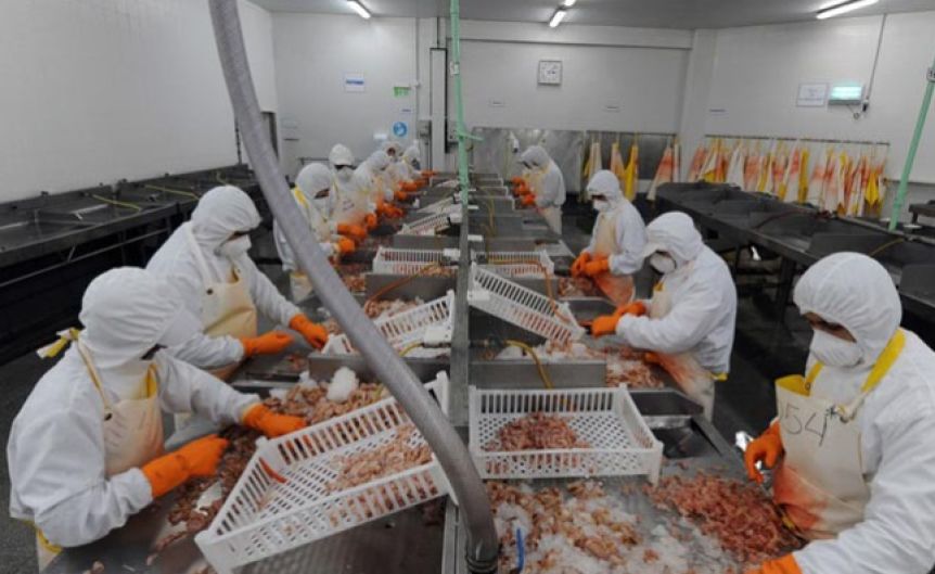 Sin acuerdo con el SOMU, los conflictos laborales jaquean la zafra del langostino