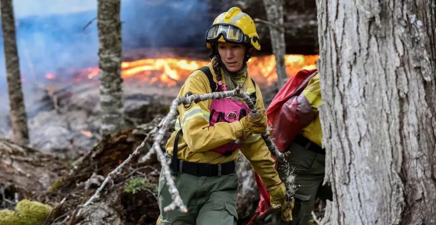 Cuáles son los cinco Parques Nacionales patagónicos donde se prohibió el fuego