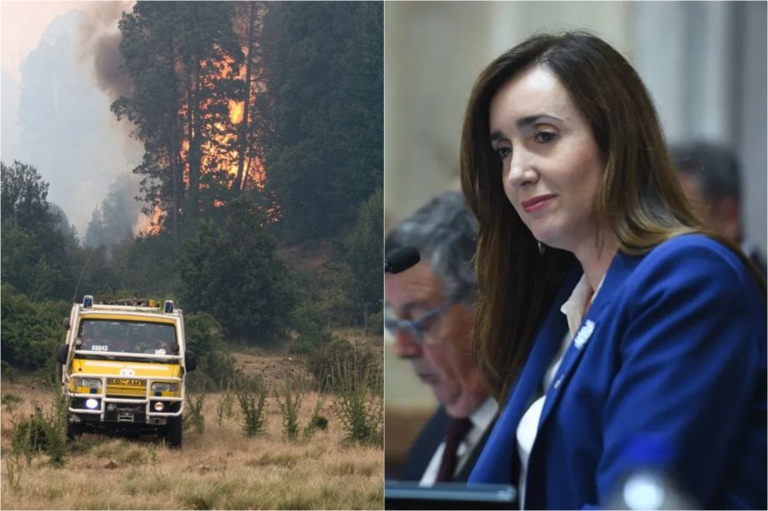 Villarruel pidió endurecer las penas contra quienes inicien incendios en los bosques