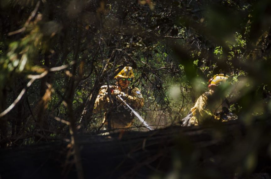 Autoridades aseguraron que el fuego en Puerto Patriada está contenido en un 85%