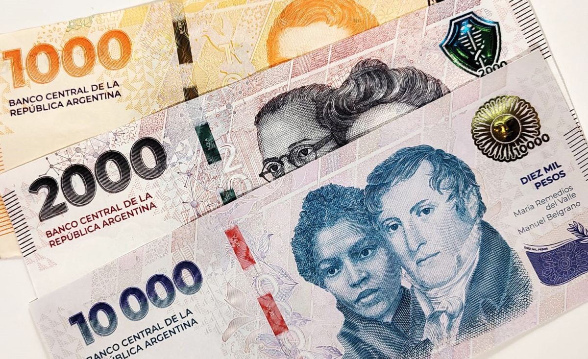 Transferencias: agosto marcó una brecha fiscal entre la Patagonia y el resto del país