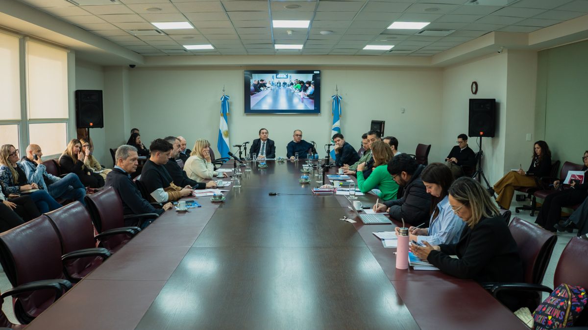 Neuquén debate cómo regular la inteligencia artificial en las campañas electorales