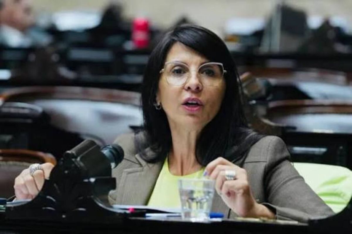 Otro embargo: la Justicia ordenó trabar cerca de 30 mil dólares a la diputada Villaverde