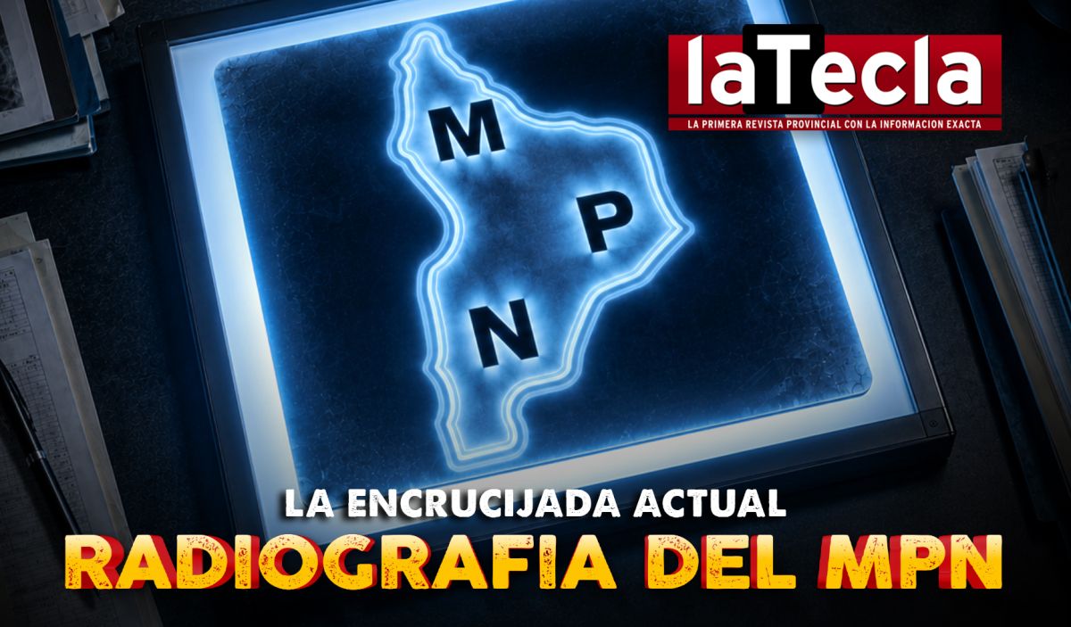 La encrucijada actual: Radiografía del MPN