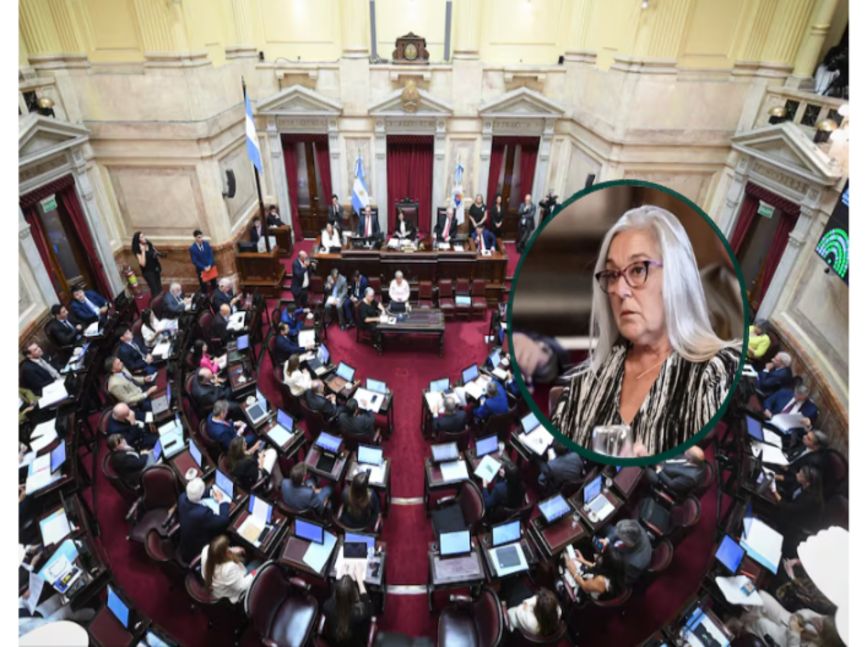 Una senadora chubutense presentó una alternativa a la eliminación de las PASO