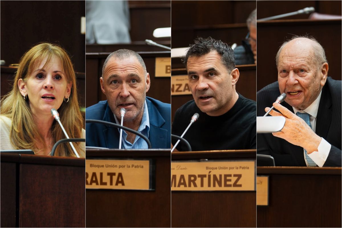 Una alianza inesperada en la Legislatura: peronistas y un radical van por las PASO