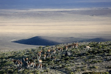 La careteada del Parque Nacional