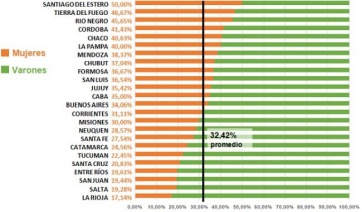 Disparidad de género: estudio revela acotada presencia de mujeres en las Legislaturas patagónicas