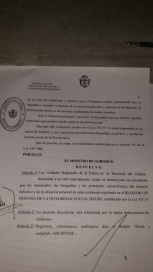 Registro de Violadores: se harán públicos los datos en un sitio web especial