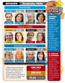 Qué se vota: patagónicos a las urnas
