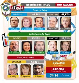 Qué se vota: patagónicos a las urnas
