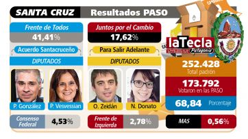 Qué se vota: patagónicos a las urnas