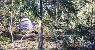 Tensión en El Bolsón: tomaron 22 hectáreas en una reserva forestal