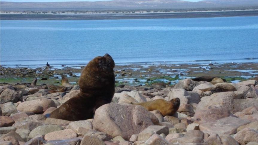 El ley la cesión de tierras a Nación para la creación de un nuevo Parque Nacional