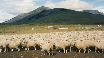 Tierras protegidas: ¿orden o entrega?