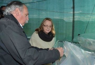 Tierras protegidas: ¿orden o entrega?