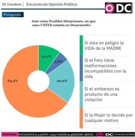 Interrupción voluntaria del embarazo: la otra grieta