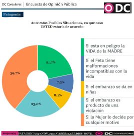 Interrupción voluntaria del embarazo: la otra grieta