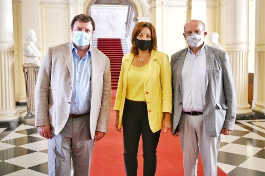 La unión hace la fuerza: Arabela y Weretilneck fueron juntos a Casa Rosada
