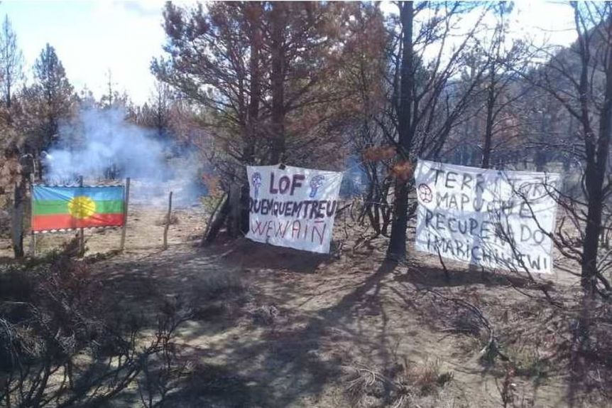 Aníbal Fernández y un sugerente tuit en el marco de la toma de tierras