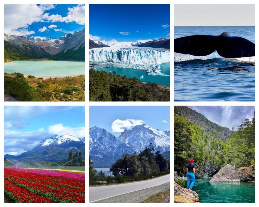 En el Día Nacional de la Patagonia trabajan en la creación de la marca