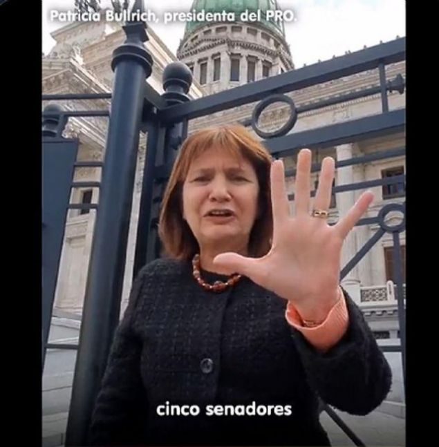 Cinco senadores: la campaña del PRO que sumó adeptos en la Patagonia
