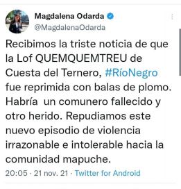 Conflicto mapuche: Pogliano adelantó que presentará una denuncia penal contra Odarda