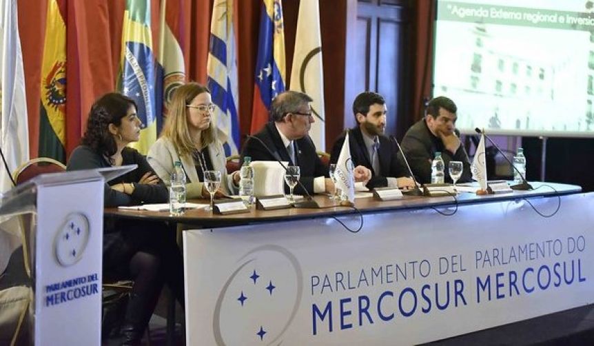 Parlasur: el desempeño de los representantes patagónicos